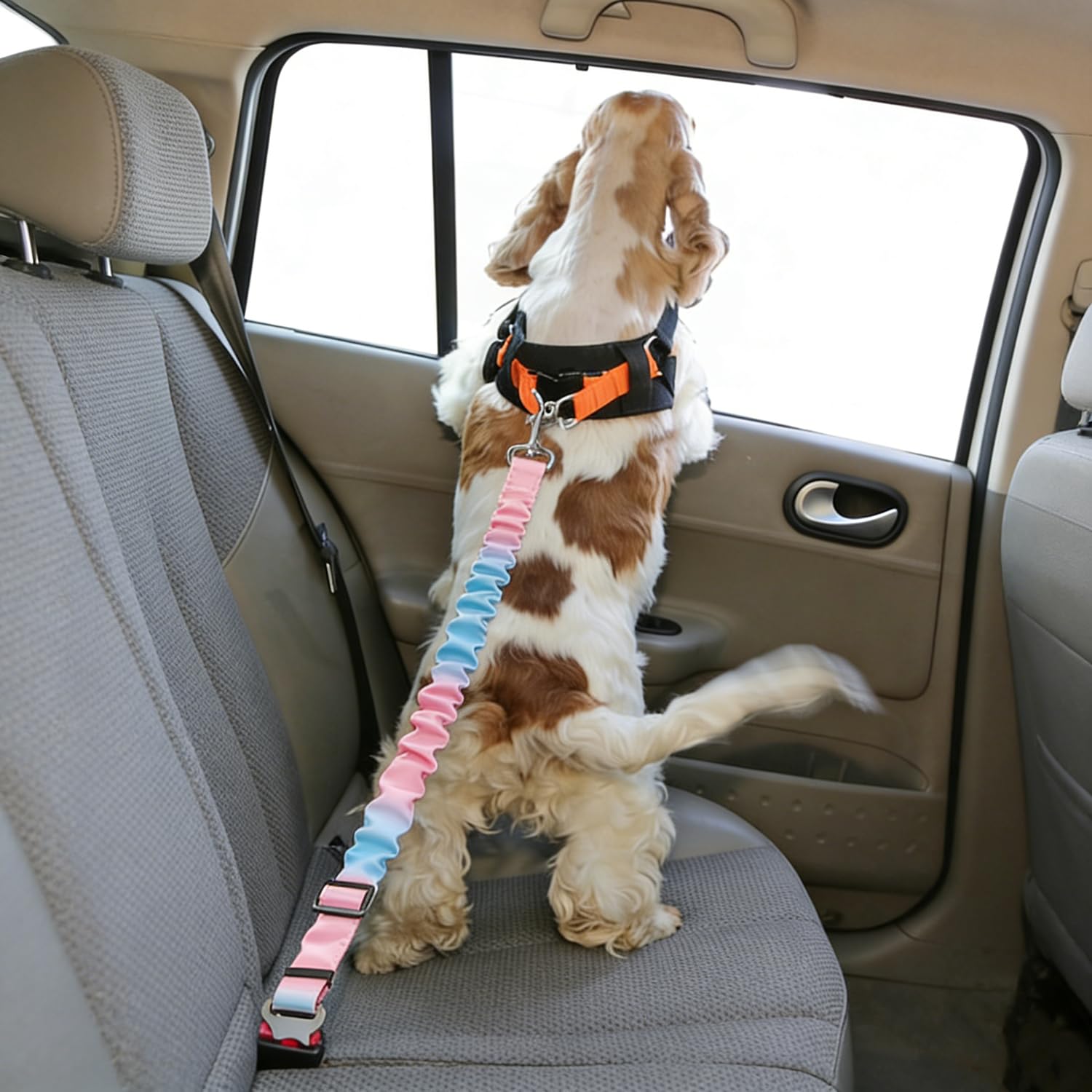 Réglable Ceinture Securite Chien Voiture - 1 Pièce, Bleu Rose Dégradé, Elastique Attache Chiens Voitures, Adaptée à Tous Les Types d'animaux et de Modèles de Véhicules