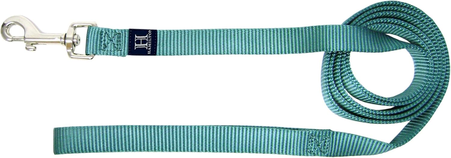 Hamilton Single Thick Deluxe Nylon Dog Leash with Swivel Snap, 5/8" by 6' Long, Red