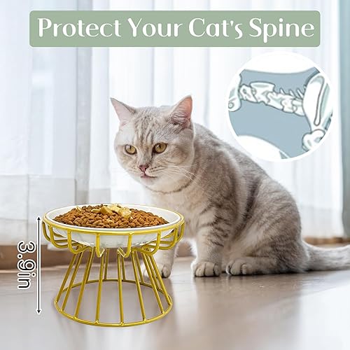 Vista 21 de BNOSDM 2 cuencos elevados de comida para gatos, platos de cerámica poco profundos para gatos con soportes de metal, comedero elevado para mascotas