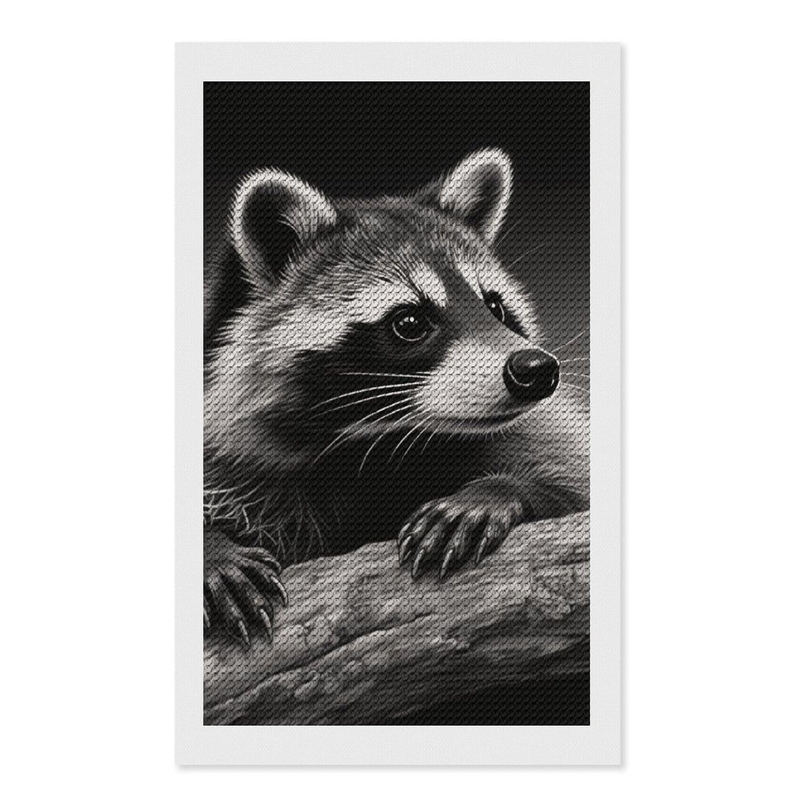 FodPand Raccoon Black 5D Diamond Painting Kits for Adults Beginners Full Drill Round Diamond Dots Pictures Gem Art Supplies for Home Wall Room Decoration DIY Craft Set Gift 12x20