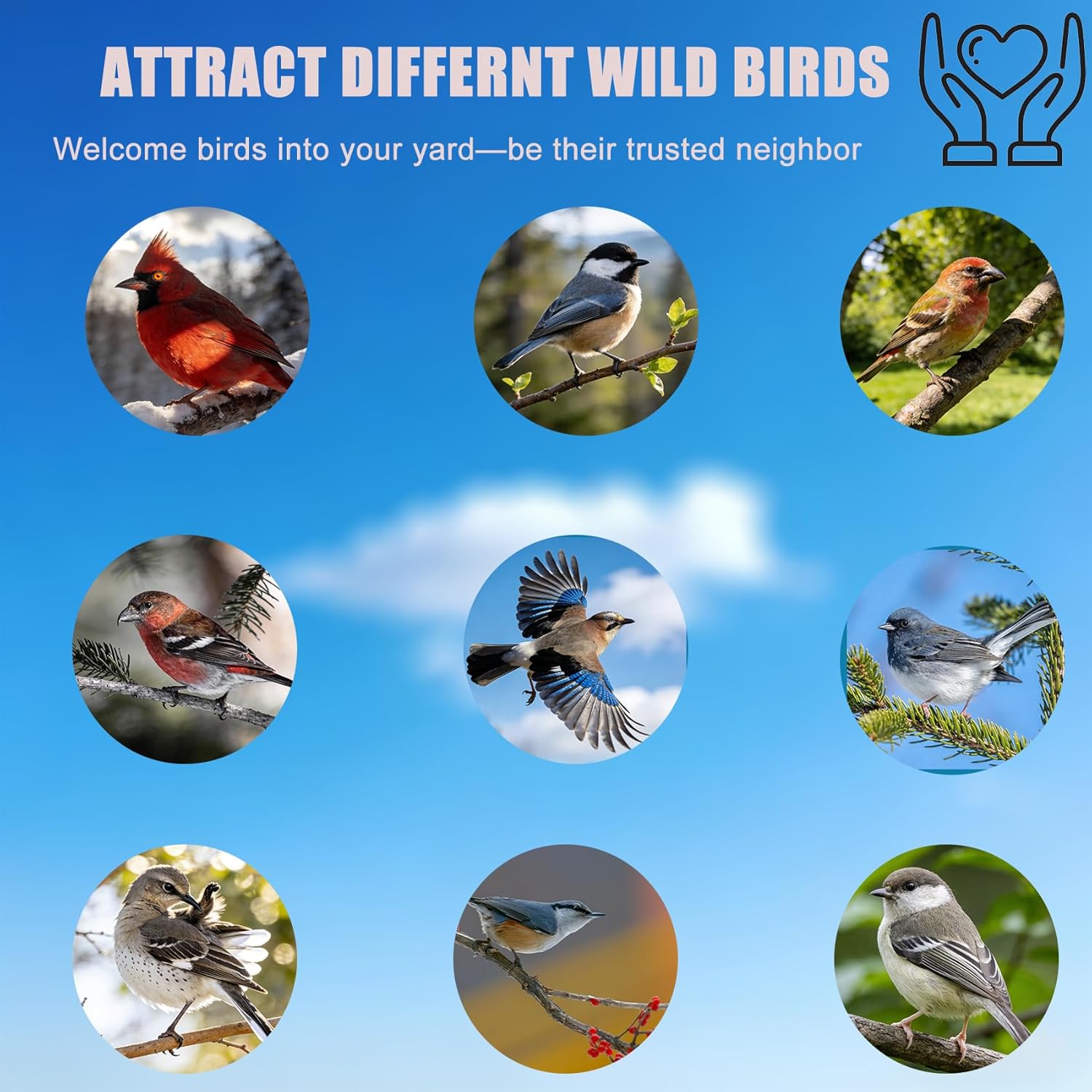 Squirrel Proof Caged Mealworm Bluebird Feeder with Detachable Grille, Easy Refill and Clean, Attract Wild Blue Bird Small Birds Outdoor Hanging, Metal Tube Feeders with Tray Life Time Support
