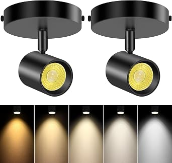 VANoopee 5-Color Dimmable Ceiling Spotlight Flush Mount Adjustable Directional LED Spot Lights Indoor Bright Accent Fixture for Art Picture Living Room - CRI90 24 Flicker Free 10W 800lm Black 2 Pack