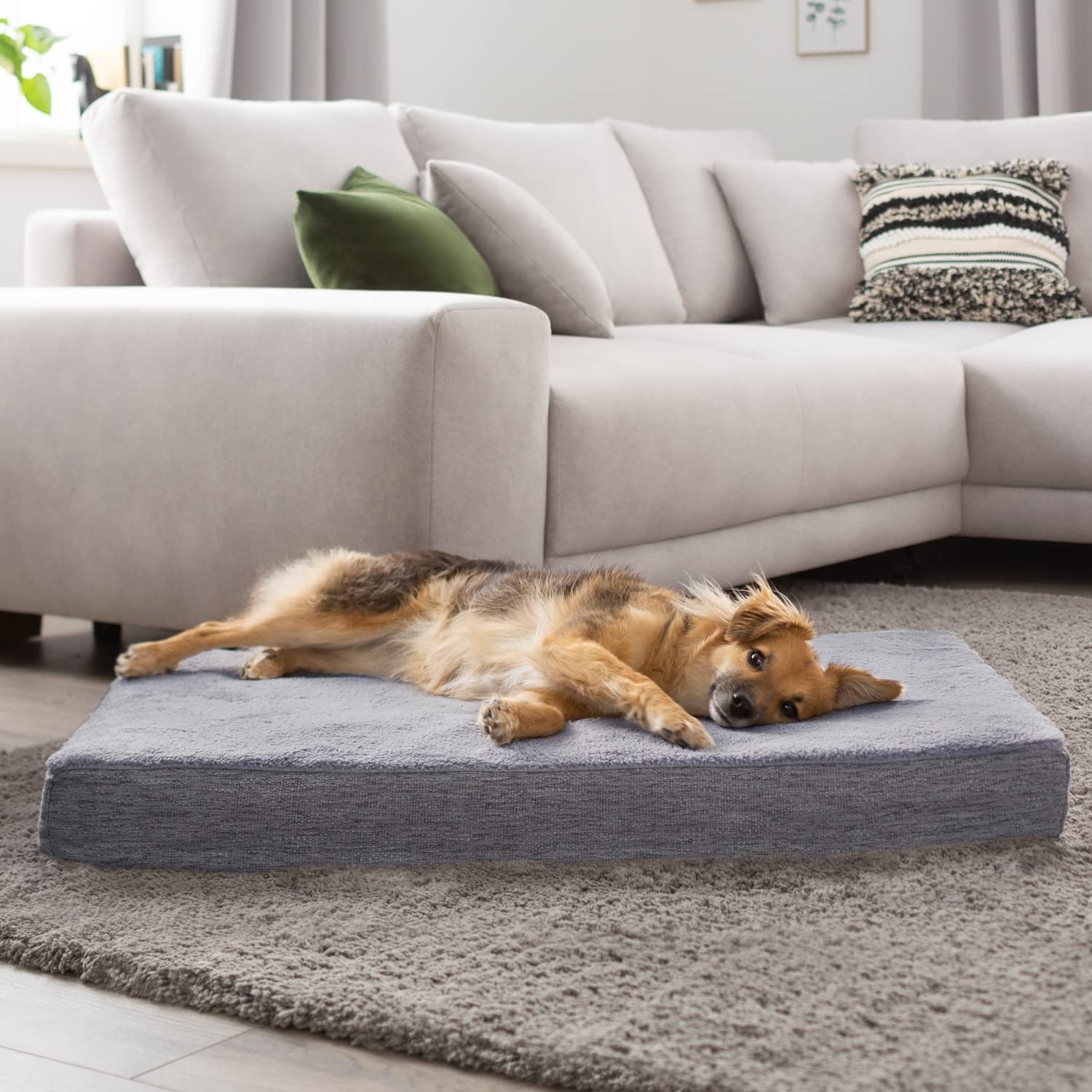 Orthopädisches Hundebett Bezug abnehmbar waschbar Farb- und Größenwahl, hellgrau, L