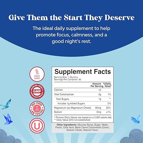 Miniatura 2 de Gomas de magnesio para niños - Suplemento calmante de citrato de magnesio con sabor a frambuesa - Suplemento de magnesio calmante para la salud de