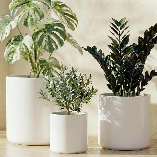 LE TAUCI Ceramic Plant Pots, Set of 3, 6+8+10 Inch Large Planters for Indoor Plants with Drainage and Plug, Mid-Century Modern Indoor Plant Pots, Round Pot Plante Interieur, White
