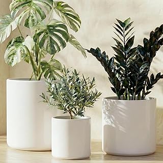 LE TAUCI Ceramic Pots for Plants, 10/8/6 Inch Indoor Planters with Draiange Hole, Silicone