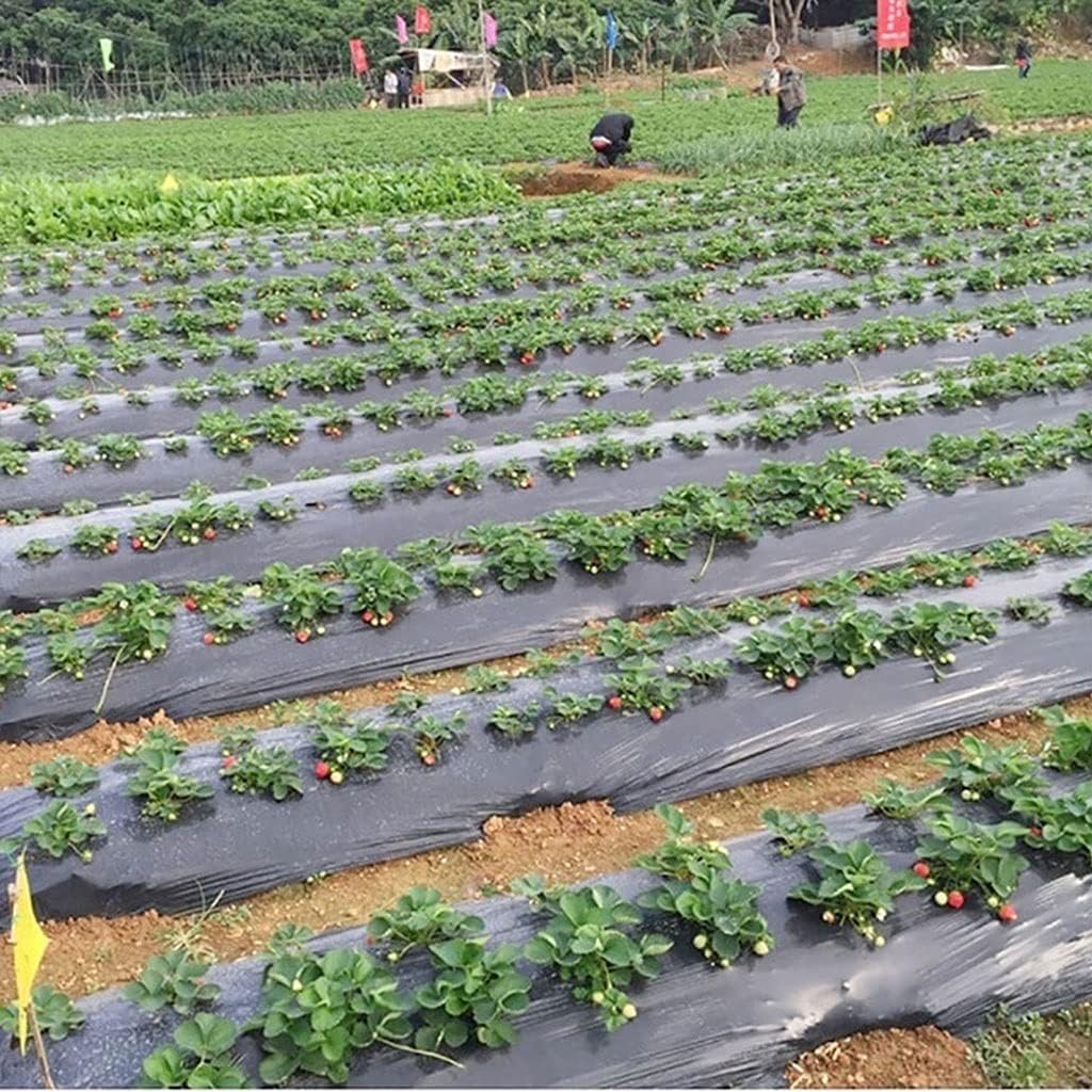 1pcs 5M~50M 5Holes 95cm Width 0.02mm Black PE Film, for Garden Vegetable Membrane Agricultural Seeding Plastic Perforated Plants Mulching(0.95MX25M)