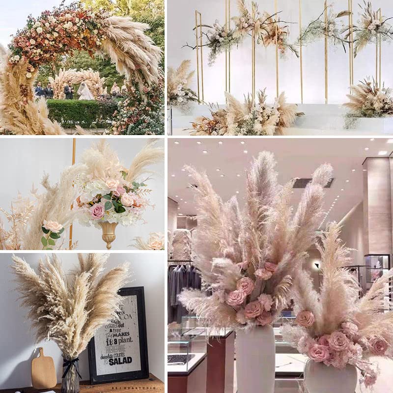 Pampas Grass Large 10PCS Plume 40-50cm miniatura 7