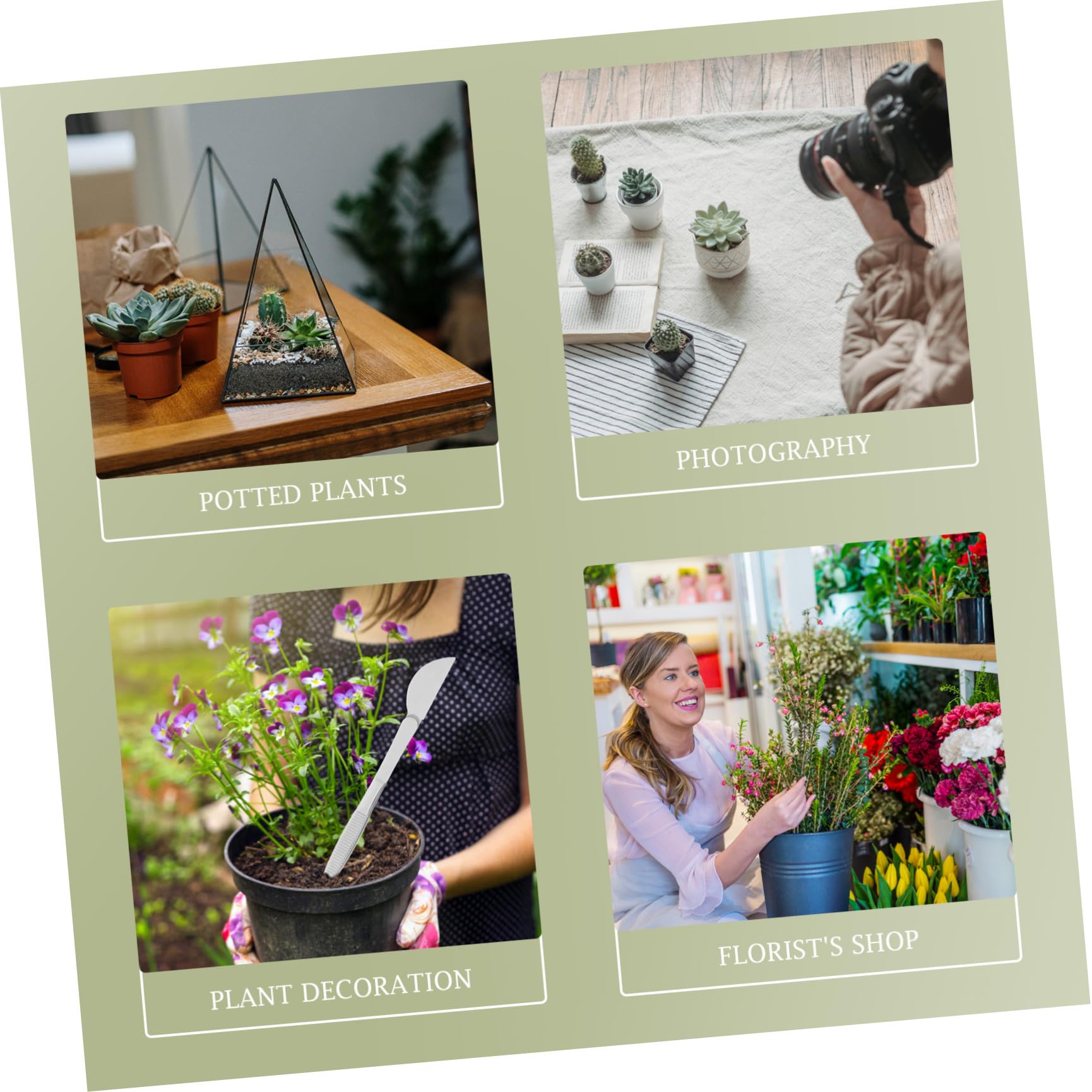 1 Set Bonsai-Pinzette Mini-Spatel Tragbares Werkzeug-Set - Pflanz-Bonsai-Baum-Pinzette Aquascaping-Werkzeug- Rechen- Edelstahl- Kleine