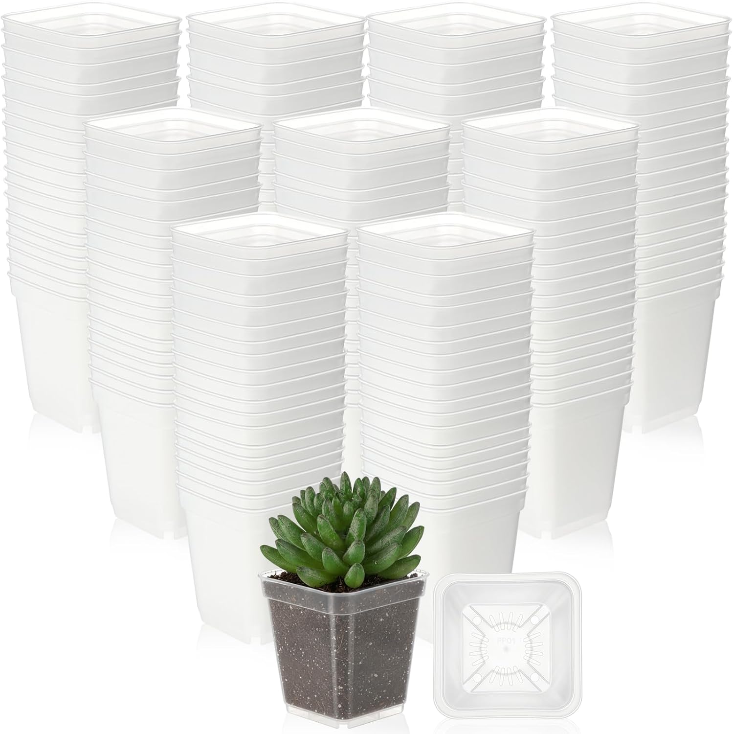 Yaomiao 200 Pack 3 Inch Clear Nursery Pot Square Flower Pots Plastic Plant Succulent Planter Seed Starting Pots with Drainage Holes for Garden Office Balcony Decor Indoor Outdoor Plant Seedling