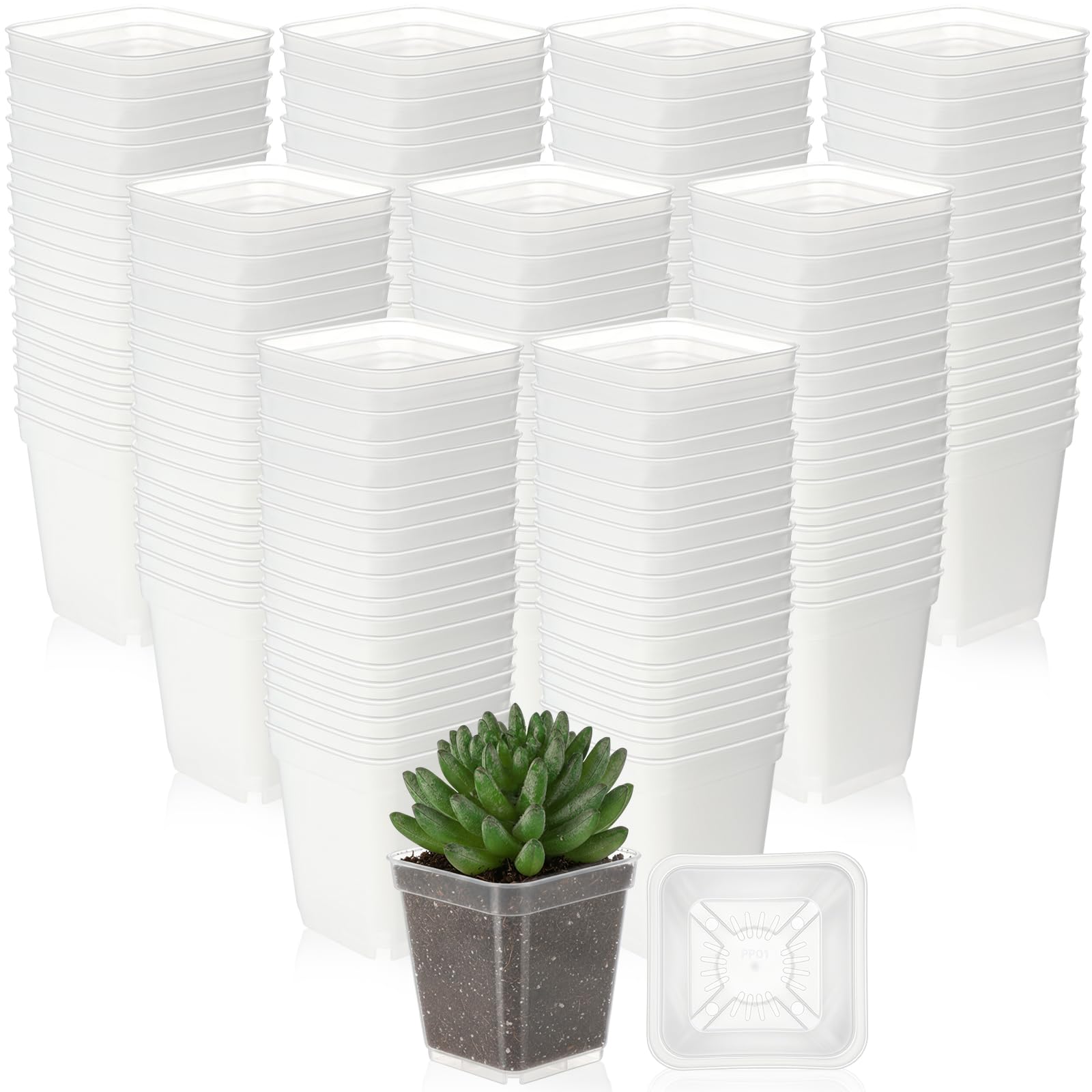 Photo 1 of Yaomiao 200 Pack 3 Inch Clear Nursery Pot Square Flower Pots Plastic Plant Succulent Planter Seed Starting Pots with Drainage Holes for Garden Office Balcony Decor Indoor Outdoor Plant Seedling