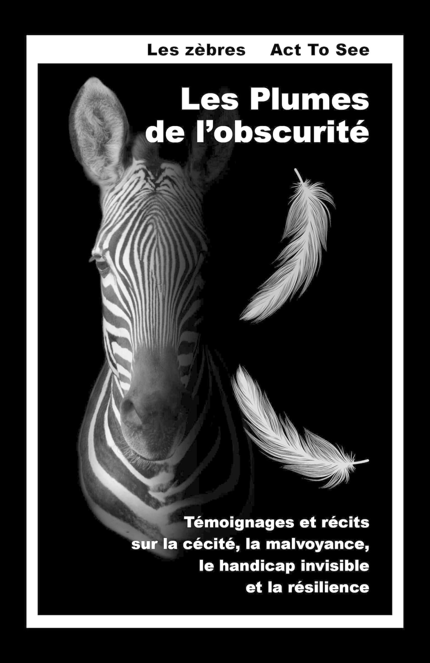 Les Plumes de l'obscurité: Témoignages et récits sur la cécité, la malvoyance, le handicap invisible et la résilience
