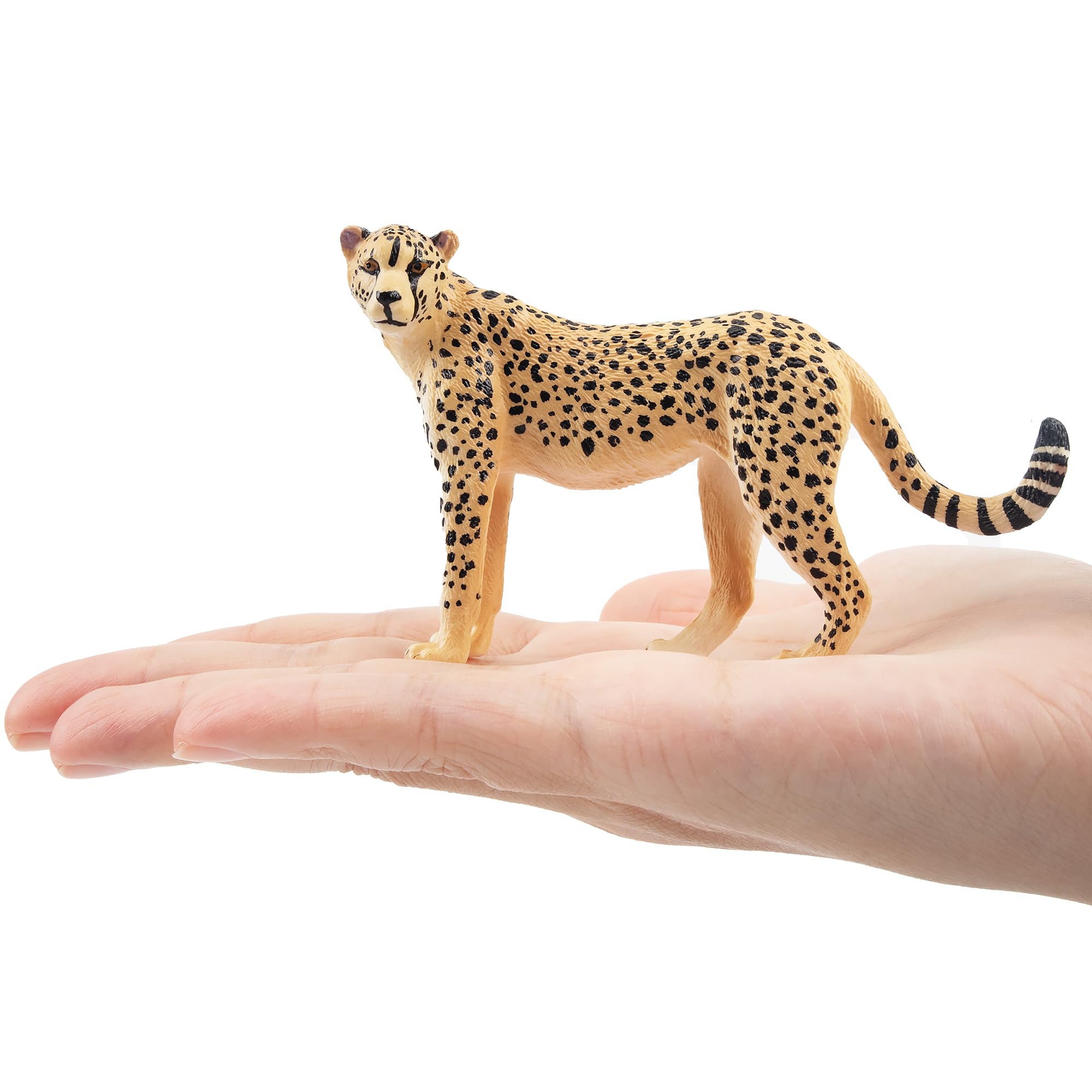TOYMANY Gepardy figurki zwierząt, las, zwierzęta, figurki, 9,6 x 2,7 x 6,2