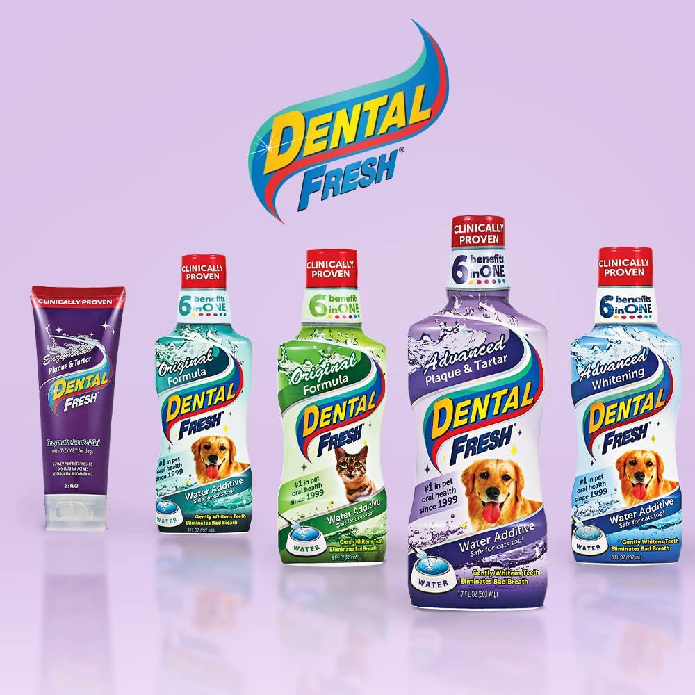 71ZSYkOm+GL. AC SL1000