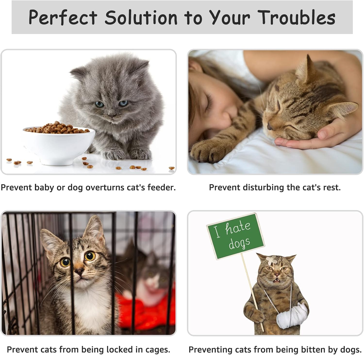 LUBERDUSH Cat Door Holder Latch -Adjustable Cat Door Alternative to Keep Dogs Out of Cat Litter Boxes and Food,Flex Latch Strap Let's Cats in and Safe Baby Proof, No Measuring Easy to Install(2 Pack) : Pet Supplies