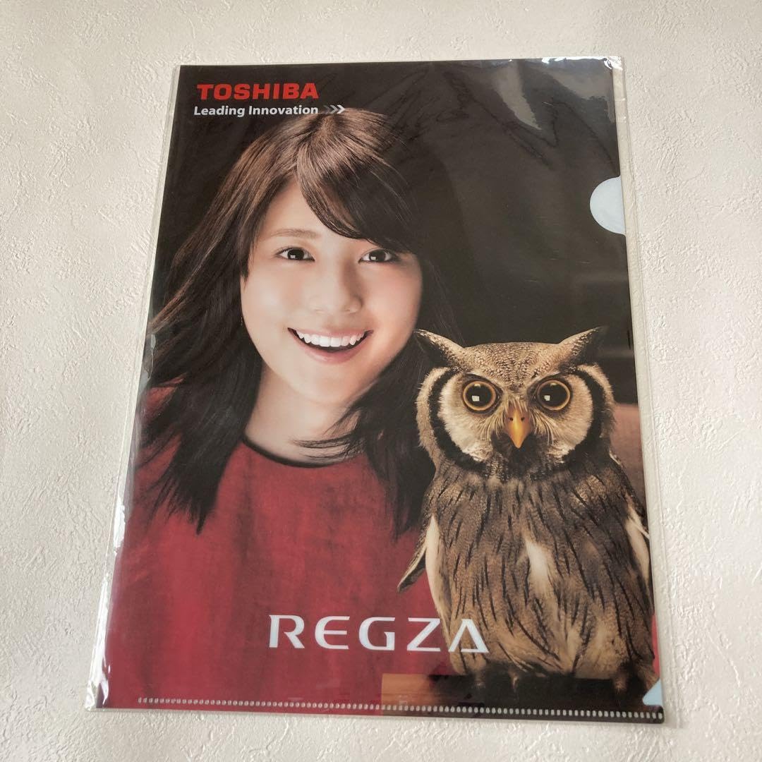 【今なら2枚セット‼︎】【超希少品‼︎】 有村架純 A4 クリアファイル Amazon.co.jp: 有村架純 クリアファイル2枚 : おもちゃ