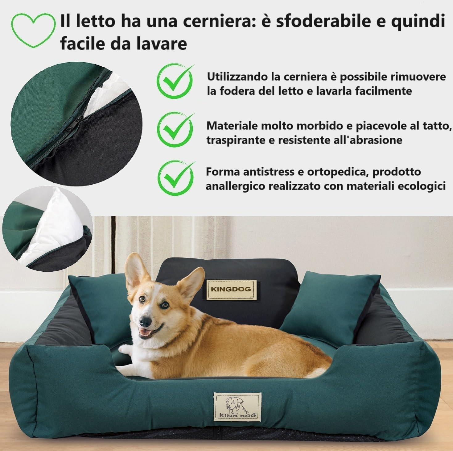 Letto per Cani Medio Taglia M 75x65 cm | Personalizzazione - Nome del Cane | Copertura Rimovibile e Lavabile | Divano per Cani Adatto al Lavaggio | Base antiscivolo | Cuccia Cane Interno Verde