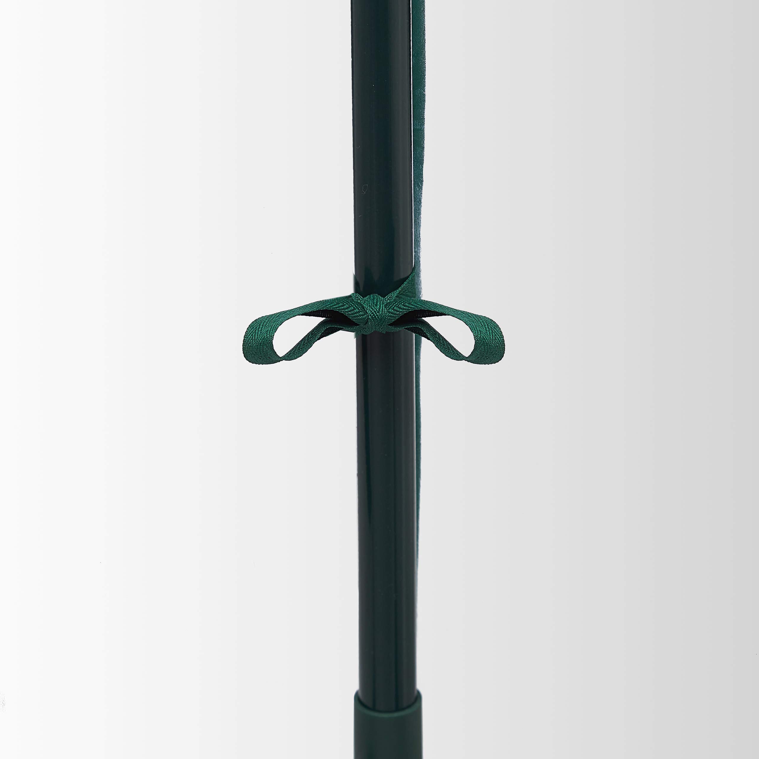 Relaxdays Serra per Pomodori, Giardino, Balcone, Telo Orto Trasparente, HLP 150x100x50 cm, Acciaio e PVC, Trasparente