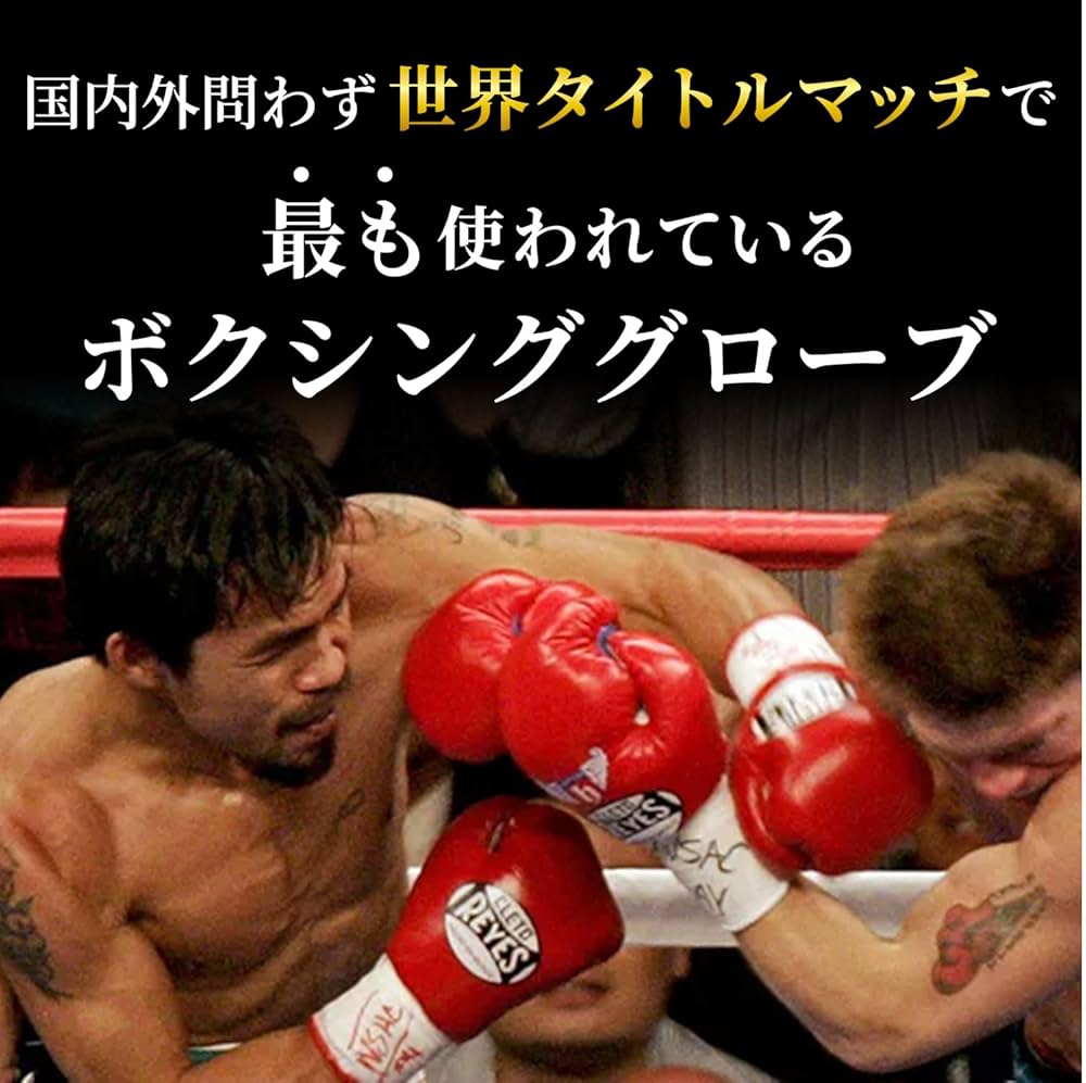 Amazon.co.jp: レイジェス(reyes) ボクシンググローブ 耐久性の