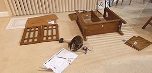 Review Image by Ms.Terry Ryder Ms.Terry Ryder