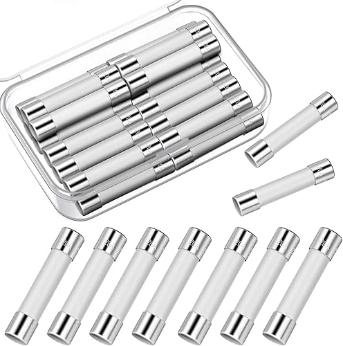 Frienda 20 fusibles de microondas de 20 amperios fusible de cerámica de soplado lento microondas 250v 20a 0.250 x 1.181 in compatible con Ge