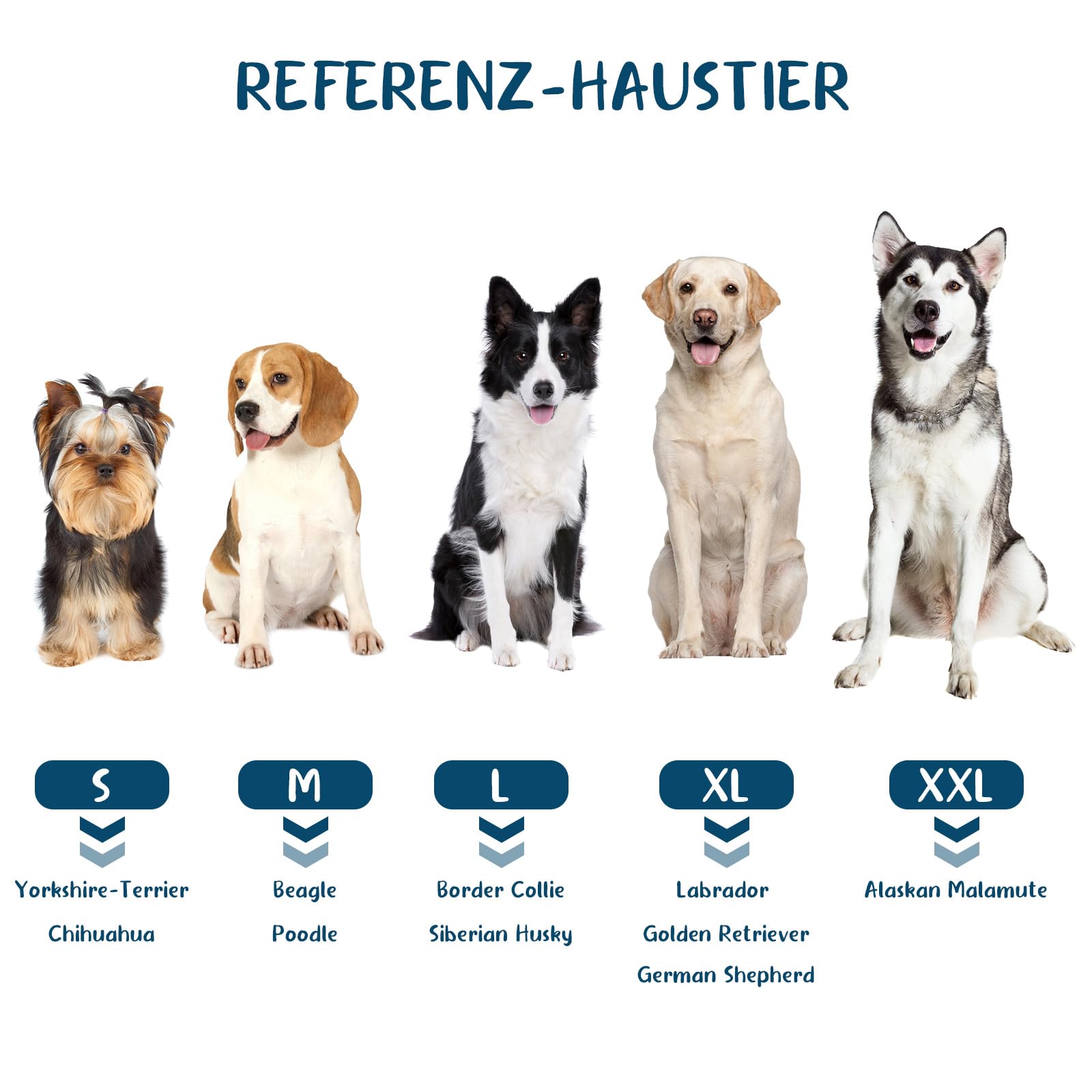 Accappatoio per cani in microfibra, accappatoio per cani di taglia media e piccola ad asciugatura rapida e banda retrattile regolabile taglia (XL)