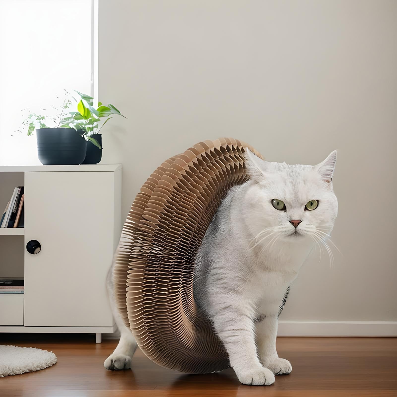 Cat Scratch Pad, Round Cat Acordeon Toy, Interactive Cat Scratcher Ramp, plegable Cat Cardboard Toys, Cat Toy with Bell Ball, Indoor Cat Boredom Relief, Sturdy Cat Scratcher for Pets