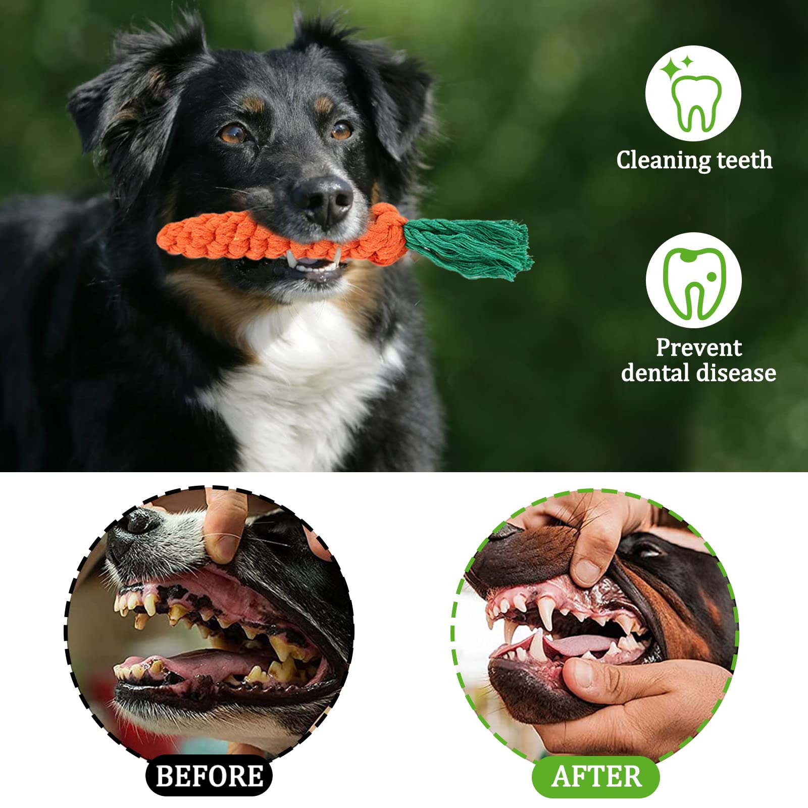 Set Giochi per Cani - 20pcs Corde in Cotone Naturale per la Pulizia dei Denti - per Cani Piccola e Media