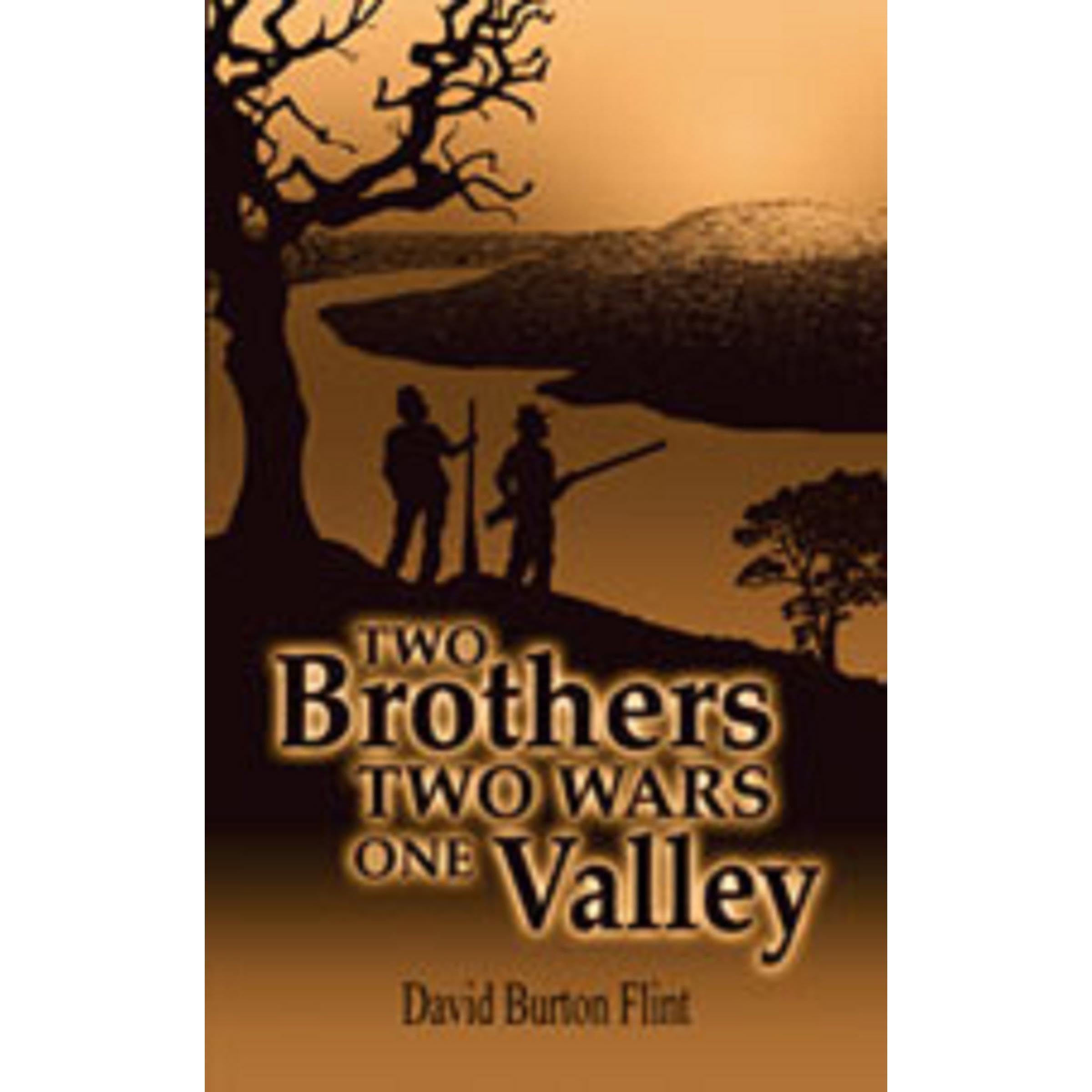 Two Brothers Two Wars One Valley