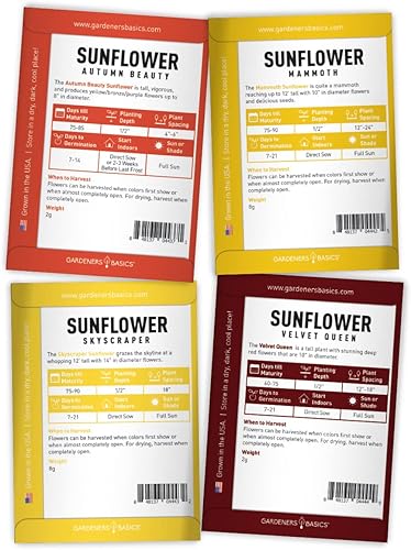 Miniatura 6 de Gardeners Basics Semillas de girasol para plantar flores, terciopelo Queen, rascacielos, reina limón, gigante, belleza otoñal, cereza de chocolate