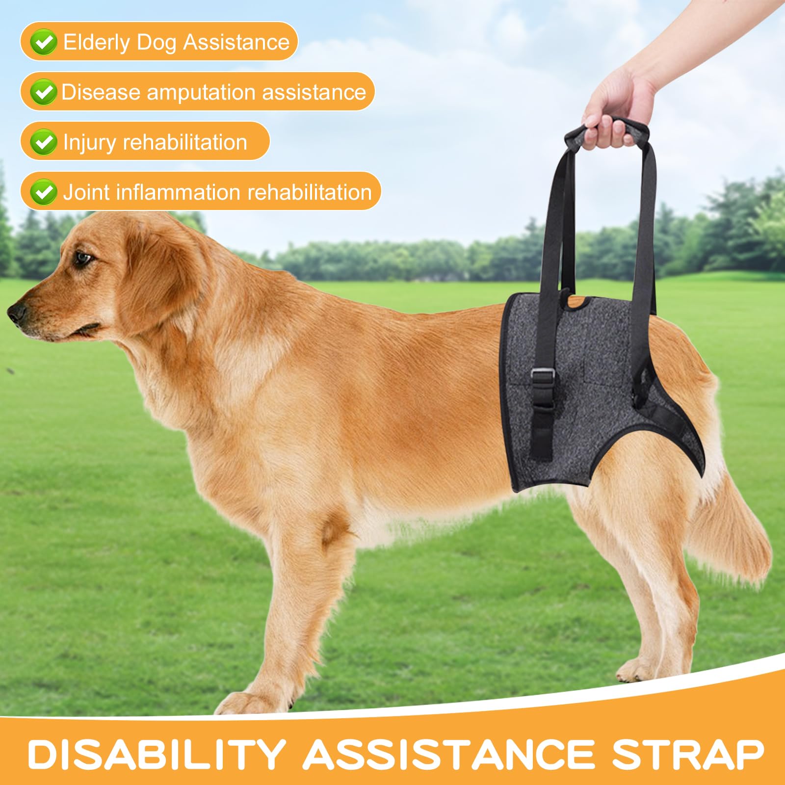 Imbracatura Sollevamento Cani Grandi - Supporto Zampe Posteriori Per Cani Anziani E Disabili - Foto 8