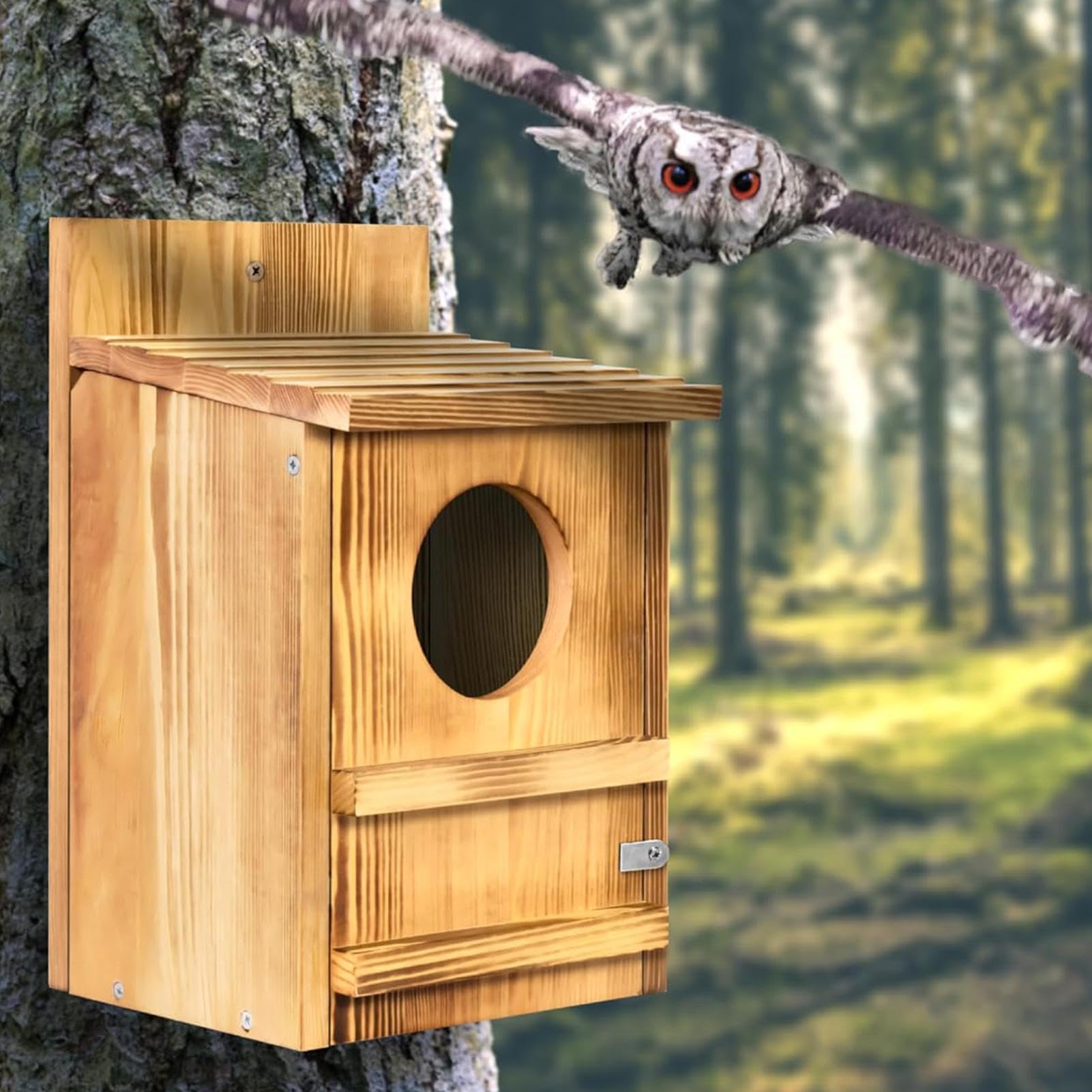 Lęgowa Dla Sów Wodoodporne schronienie 36,8 x 22,8 cm z ptasią grzędą | Drewniana lęgowa z wkrętami montażowymi Do Obserwacji Dzikiej Przyrody Na Drzewie W