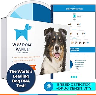 Wisdom Panel 3.0 Canine DNA Test - Dog DNA Test Kit for Breed and Ancestry Information - coolthings.us
