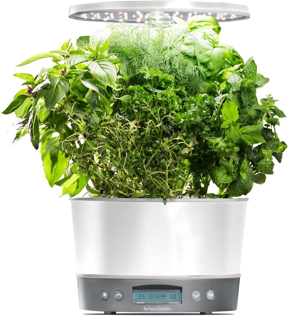 Harvest Elite Slim SS with Heirloom Salad Kit Patio