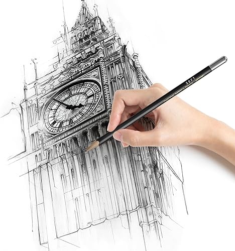 Miniatura 6 de Juego de lápices de carbón profesionales de dibujo, 13 piezas (2H, HB, B, 2B, 3B, 4B, 5B, 6B, 7B, 8B, 12B, 14B) lápices de carbón para dibujar,