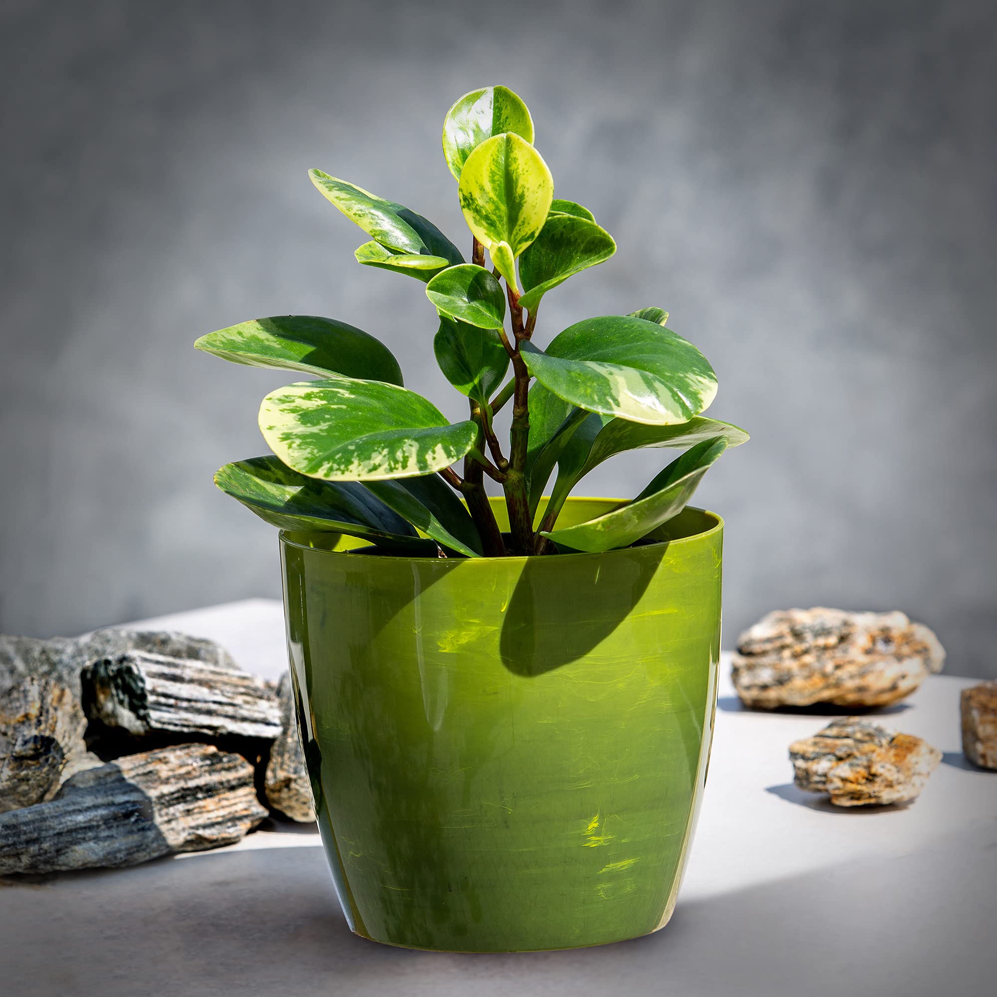 KADAX Blumentop Ø 14cm, Grün, dekorativer Übertopf für Wohnzimmer, Bad, Balkon & mehr – bringt Farbe und Frische in den Raum