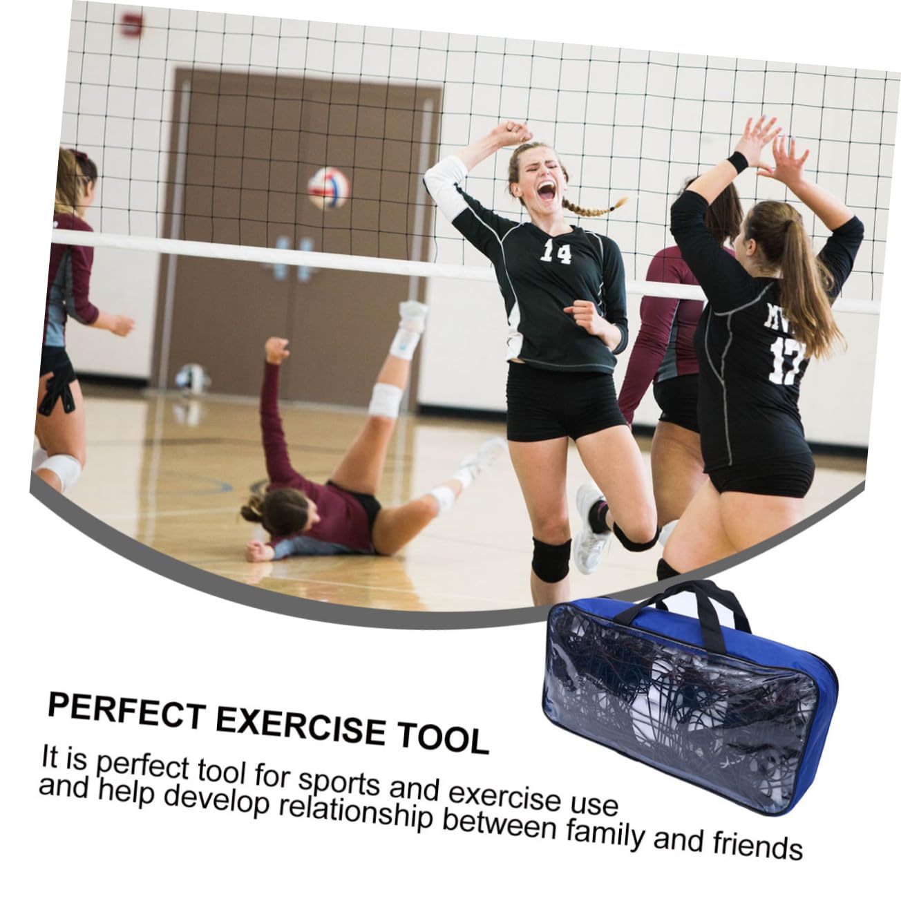 Healeved Filet de Beach-Volley Professionnel résistant aux intempéries, Filet de Volley-Ball Standard pour entraînement et compétition, Portable et léger pour Sports de Plein air