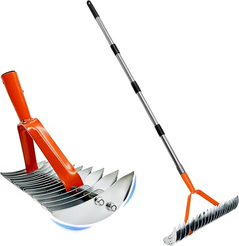 Thatch Rake for Lawn,15" Dethatcher Rake,Heavy-Duty Metal Thatching Rake,68" Adjustable Manual Dethatcher with 19 Tines,Dead Grass Remover Tool for Yards and Gardens