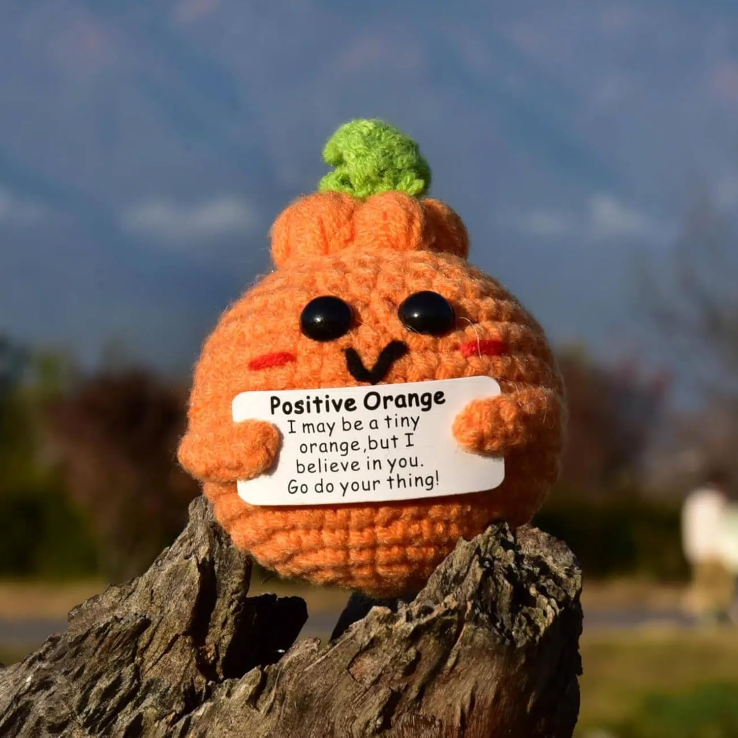 1Pc Handmade Crochet Orange Positive Crochet Gifts with Inspirational Message Card Unique Gifts for Her Him Women Men Friends,Couple,Girlfriend,Colleagues
