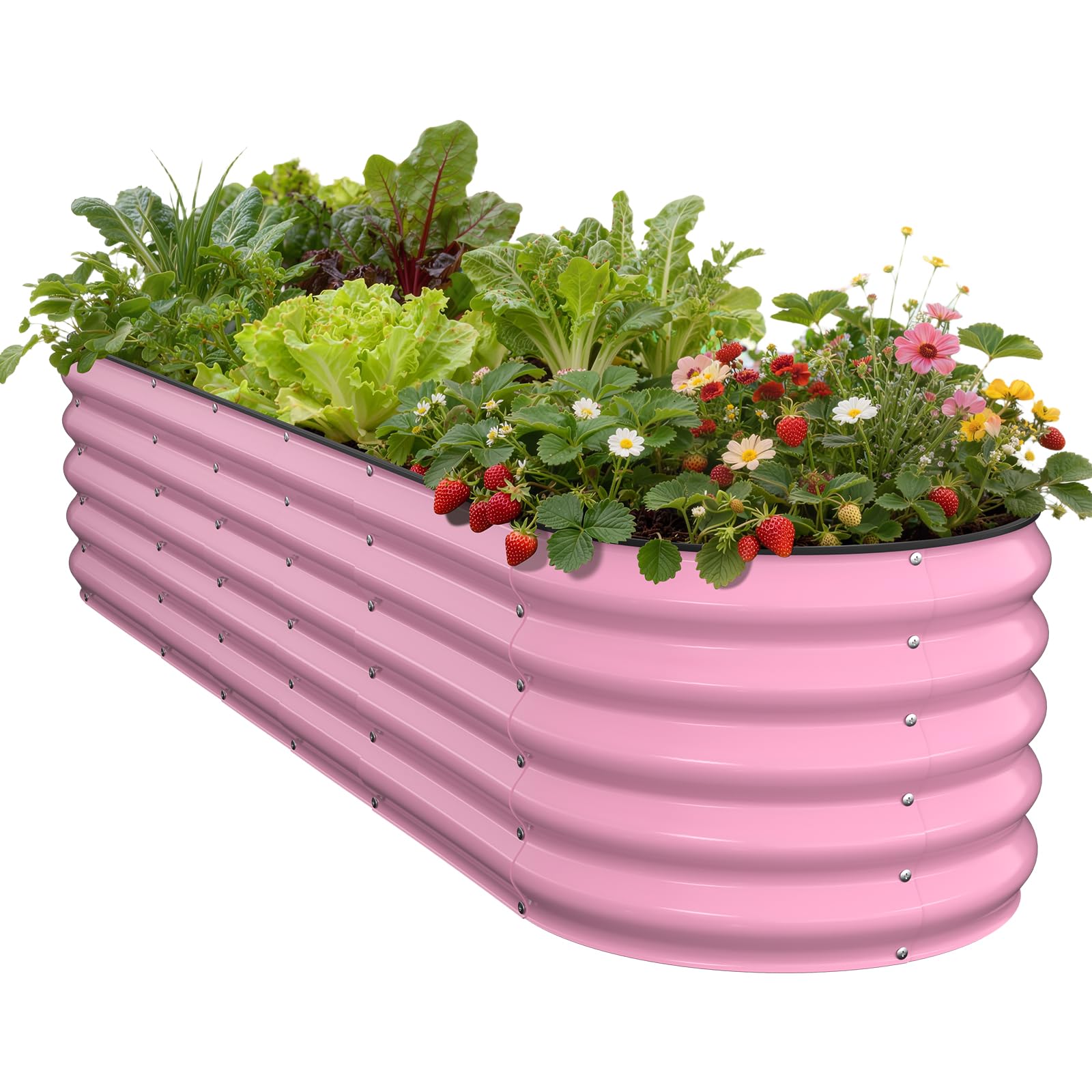 Pattiumo Raised Garden Bed