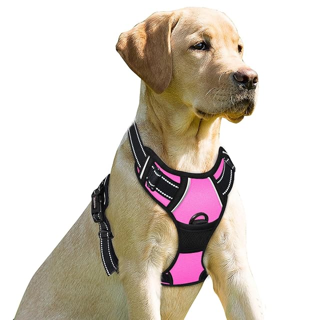 BARKBAY Arnés antitirones con Clip Frontal para Perro, Material Resistente y Reflectante