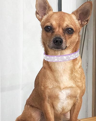 Miniatura 2 de Petank Collar de perro para perros pequeños, medianos y grandes, collar de perro pequeño para hembras, collar de perro rosa, collares de cachorros