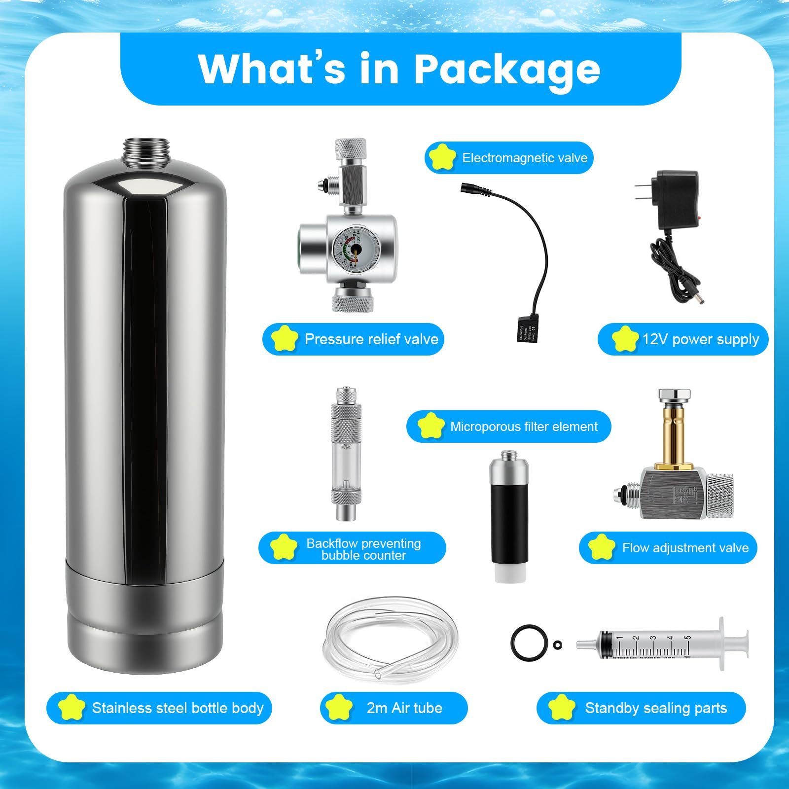 Sistema de reactor de dióxido de carbono de 2 L con regulador y válvula de aguja, generador de CO2 de acero inoxidable para acuario, con válvula magnética para plantas de acuario