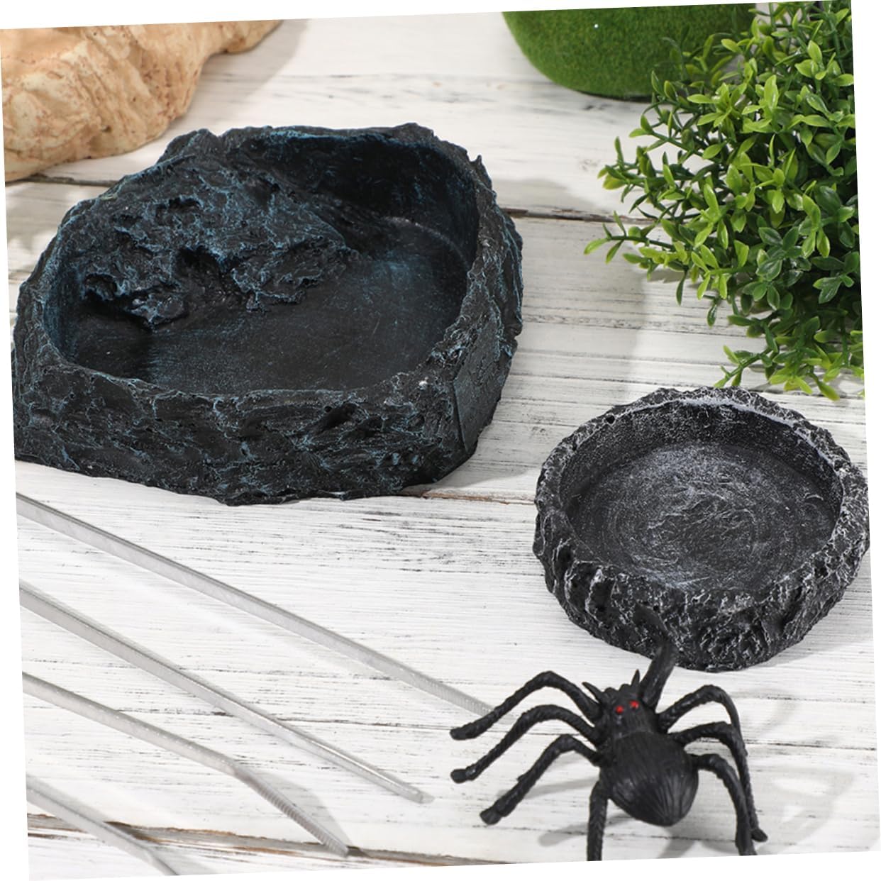 Milisten 1set Reptile Feeding Bowl Includes Tortoise Water Dish Snake Food Bowl and Feeding Tongs for Bearded Dragons Snakes and Other Terrarium Pets