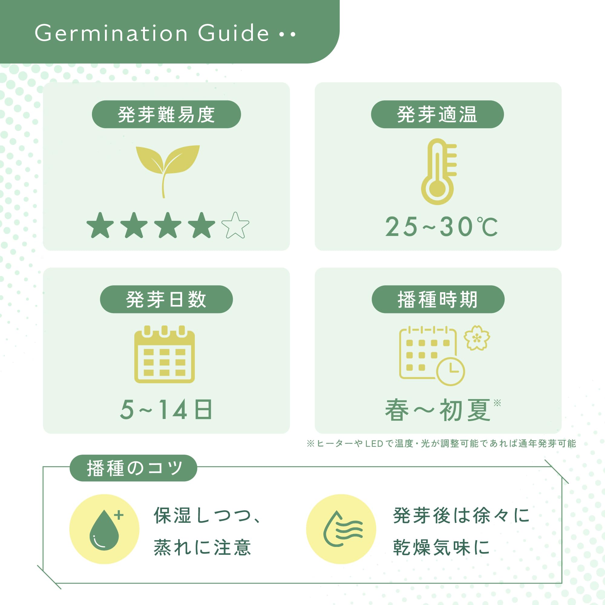 Amazon.co.jp: SEEDSTOCK アガベ オテロイ チタノタ 種子 100粒 Agave