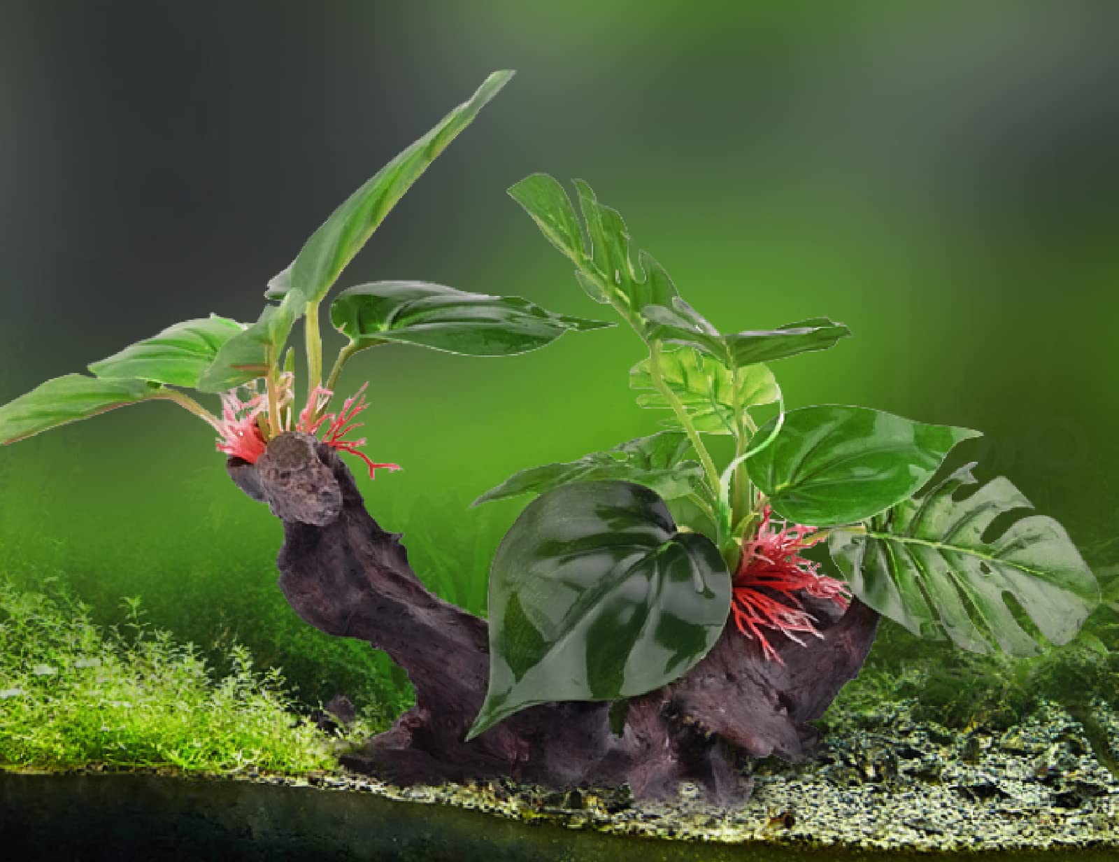 Decorazioni Acquario Arredamento Acquario Arredi Per Acquario Ornamenti Di Simulazione Del Paesaggio Del Serbatoio Di Pesce Pacchetto Di Decorazione Piante Acquatiche Finte Rhododendron Root Tree Fore
