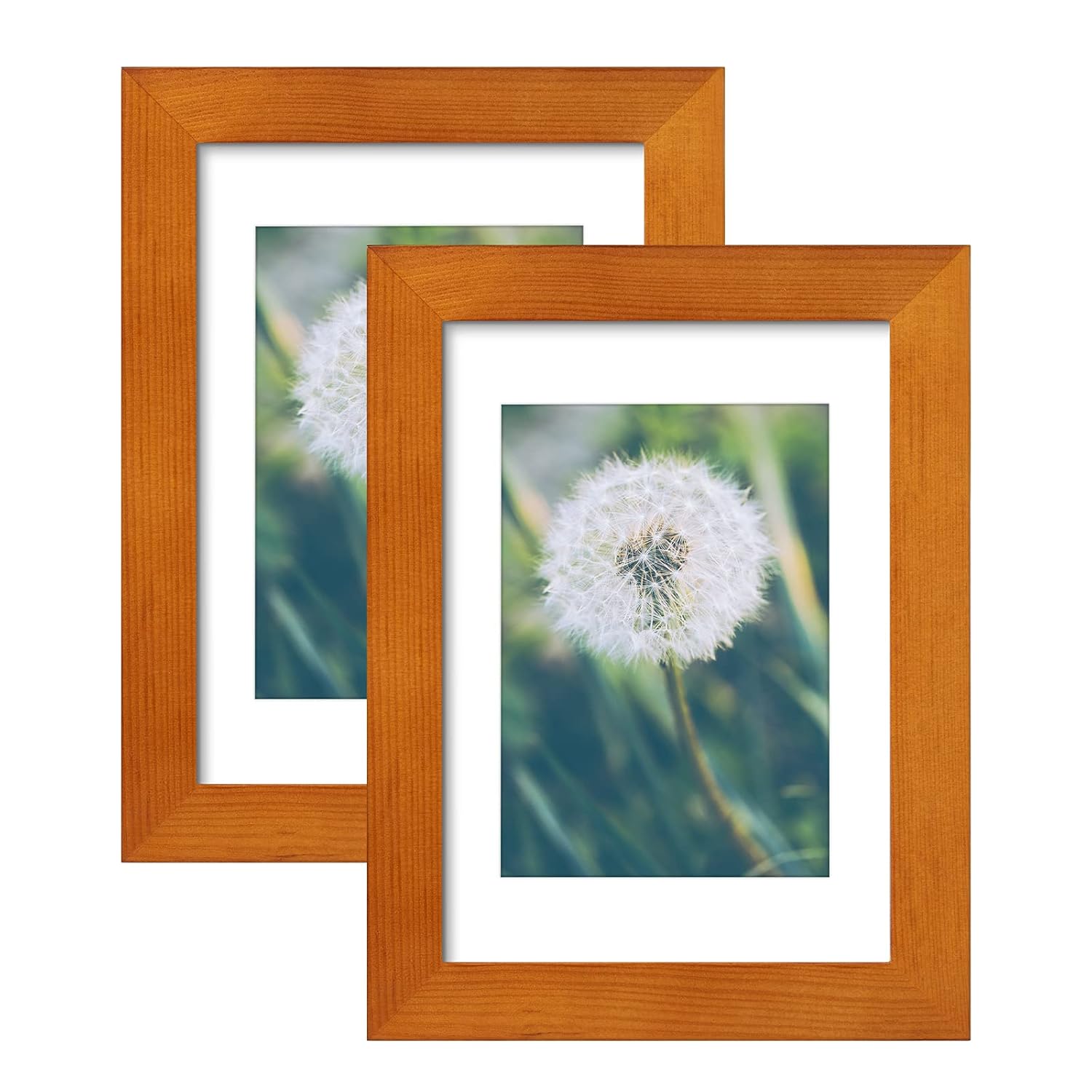 Buy MAKITESY 5x7 Picture Frames Black to Display Picture 4x6 with Mat