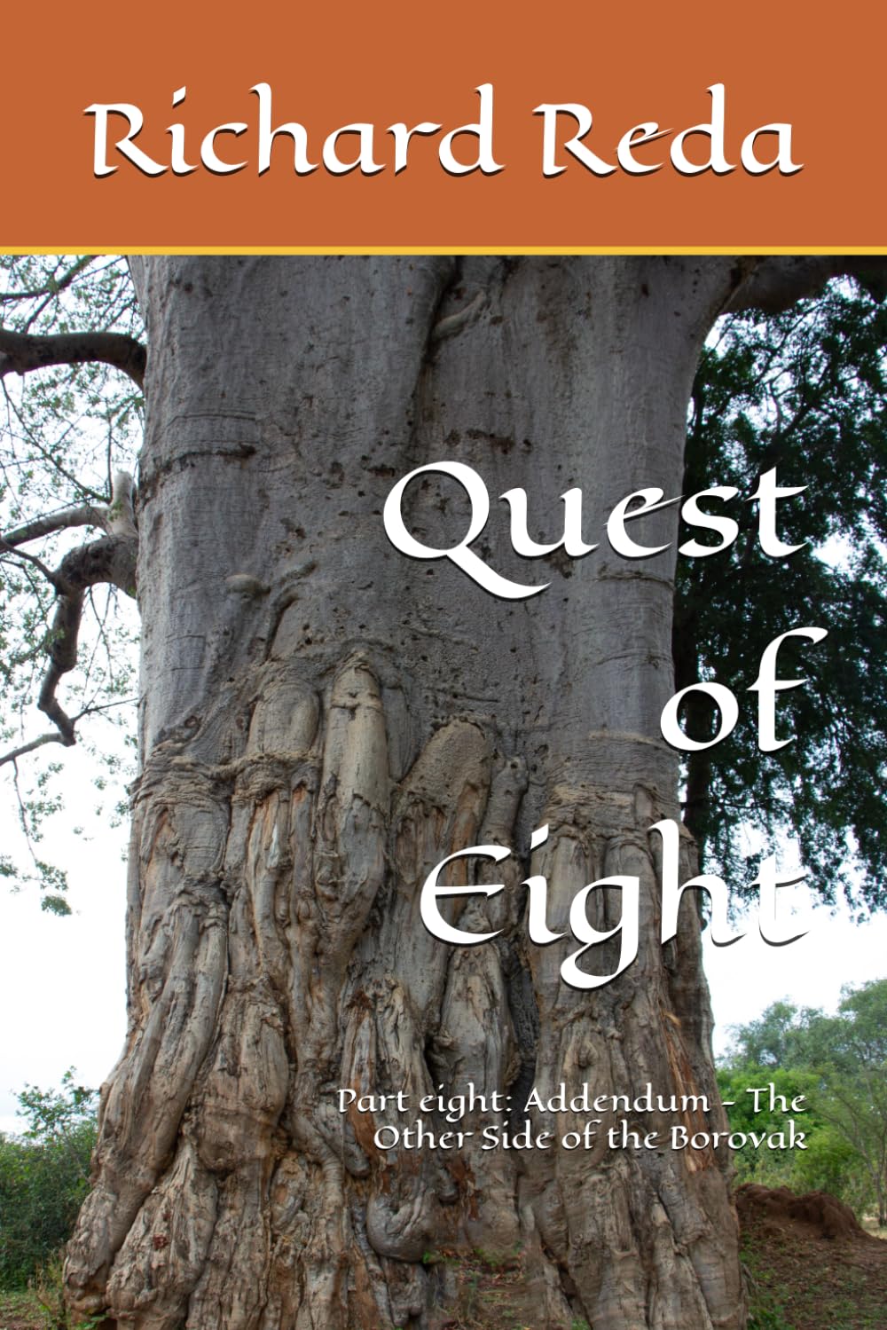 Quest of Eight: Part eight: Addendum - The Other Side of the Borovak