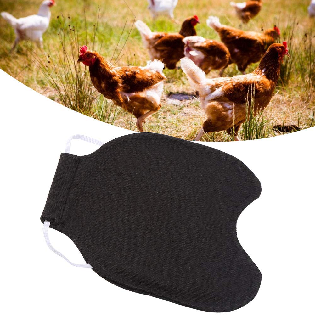 Tablier De Protection Pour Poules - Selle Dorsale Anti-Picage | Taille Unique | Confortable Et Lavable