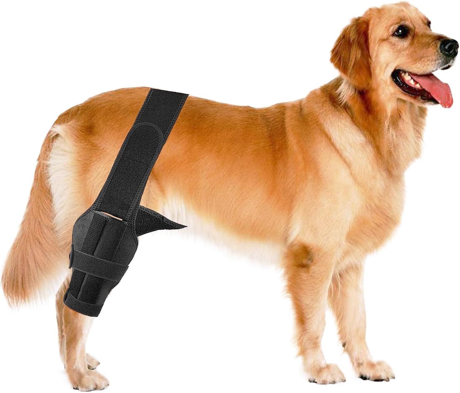 Dog Knee Brace for Torn ACL Hind LegUpgraded Dog Leg